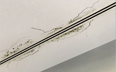 Mold from AC IS Harmful to Your Health